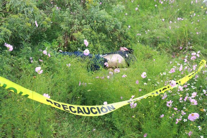 Ejecutan a sujeto con el tiro de gracia y dejan su cadáver en despoblado
