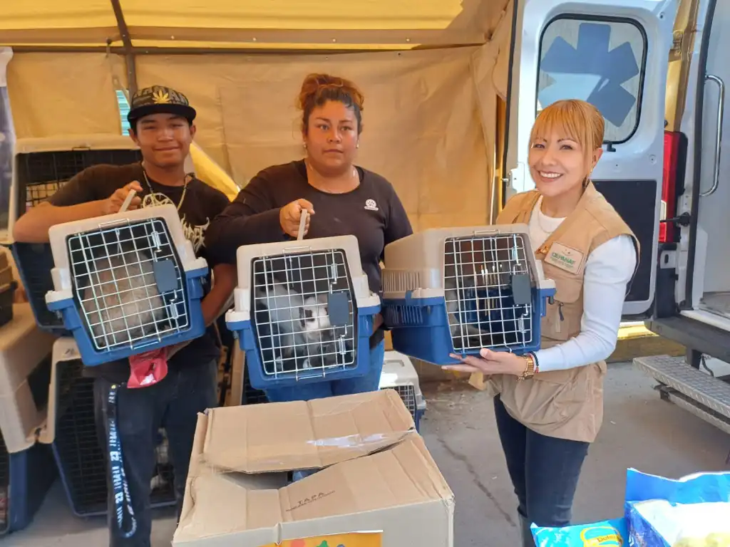 A Casa regresan 135 mascotas rescatadas en Chalco Edoméx tras las inundaciones