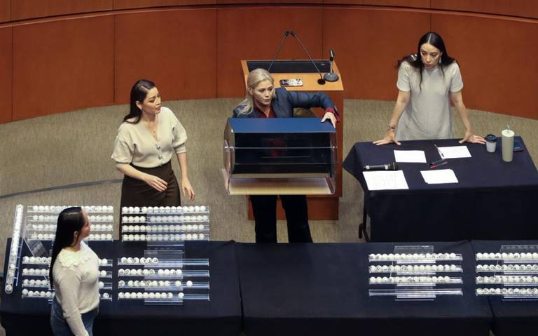 Senado elige por tómbola a 850 cargos judiciales que se renovarán en 2025