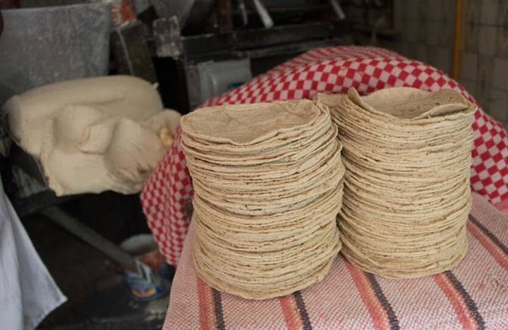 La reducción en el precio de la tortilla será apoyado por la población