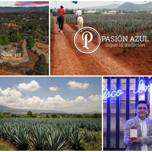Se ampara empresario Tequilero tras relacionársele con “El Guacho” yerno de “El Mencho”
