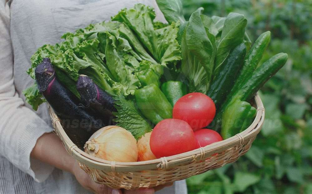 Recorte del 4.7% al campo afecta la autosuficiencia alimentaria