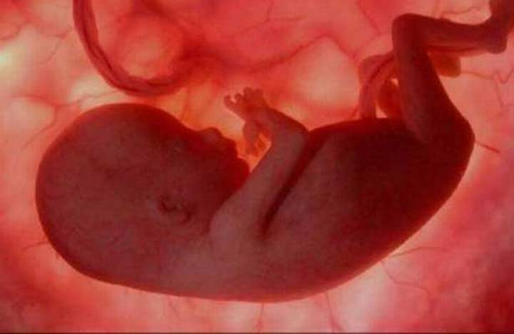 Avanza en el Congreso de la CDMX la despenalización del aborto del código penal