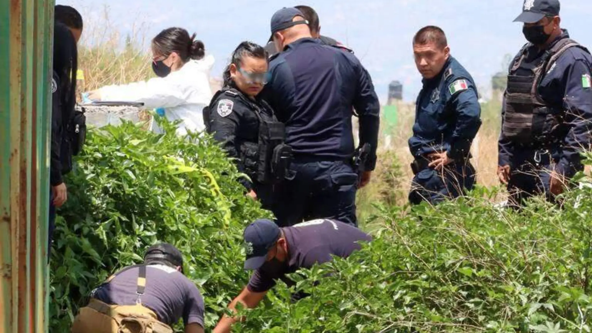 Encuentran restos humanos en bolsas de plástico en Atizapán