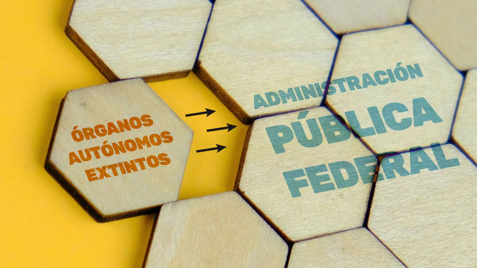 Por la extinción de organismos autónomos, la APF los absorberá y tendrá menos recursos