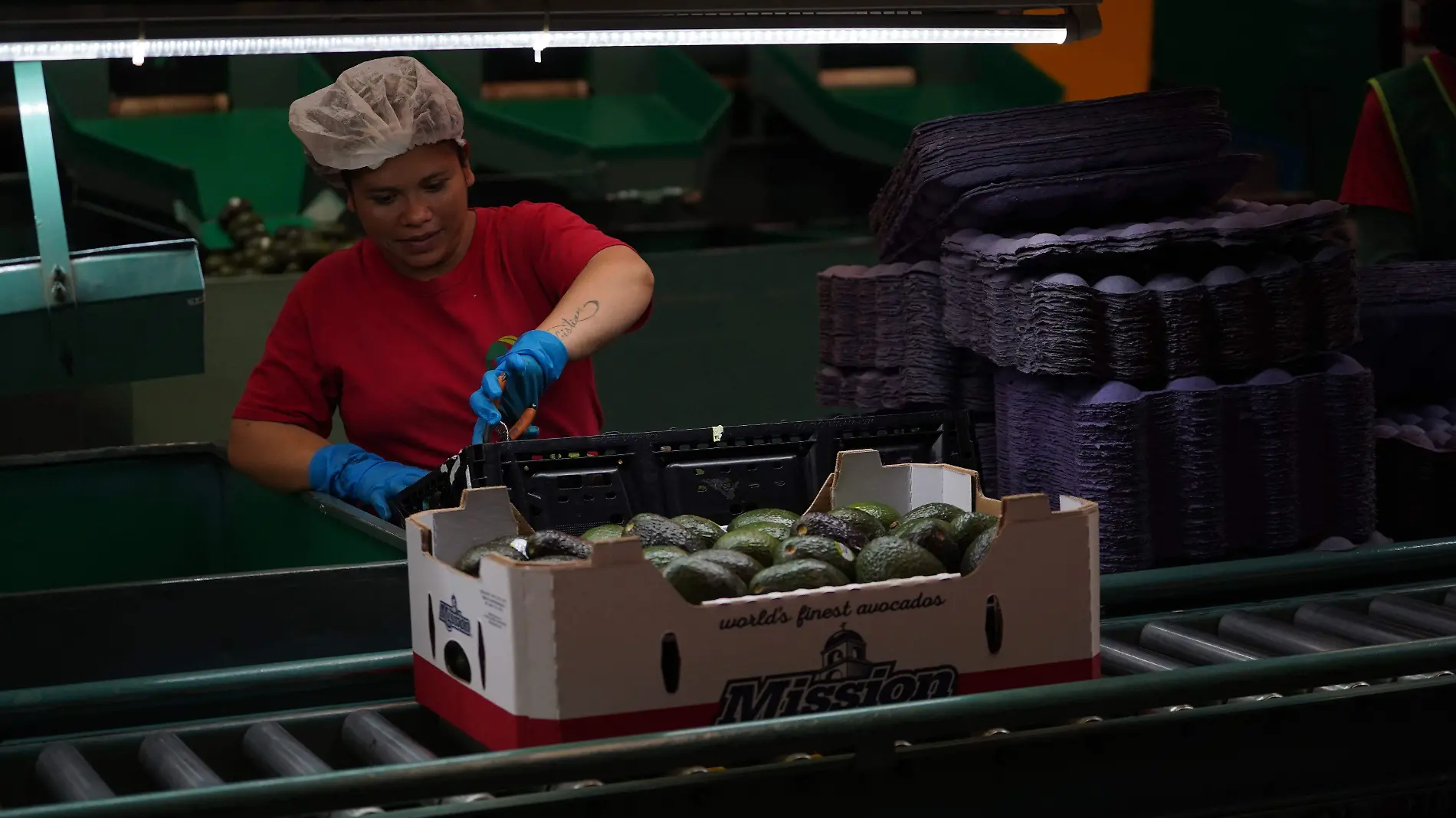 Mexicanos confían en conseguir un nuevo empleo en los próximos seis meses