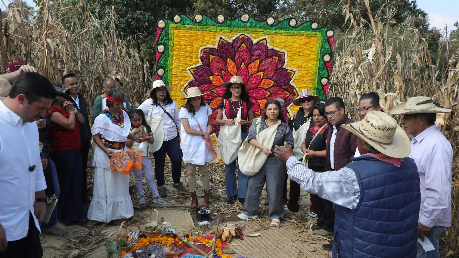 Clara Brugada anuncia la apertura de tortillerías comunitarias a bajo precio en la CDMX