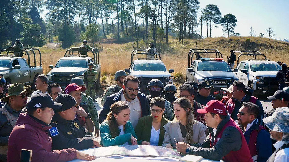 Preparan estrategias para combatir la tala clandestina en el Bosque de Agua entre los límites de la CDMX y More los