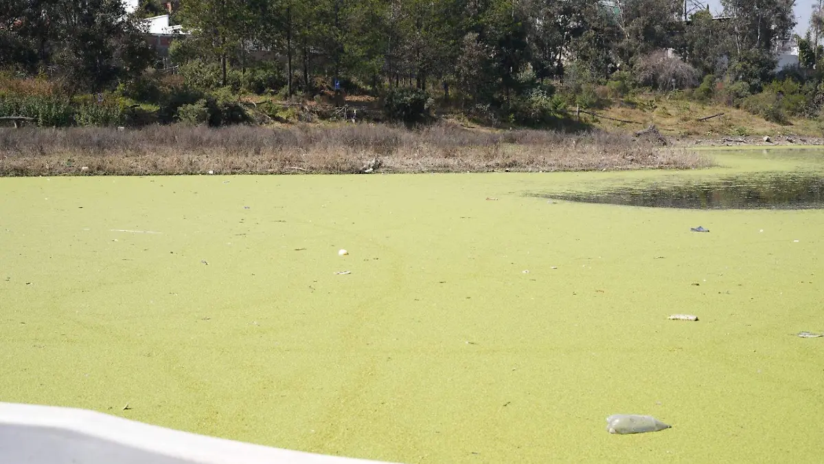 Vecinos de Cuautitlán Izcalli agradecen al gobierno por el rescate del Lago de Guadalupe