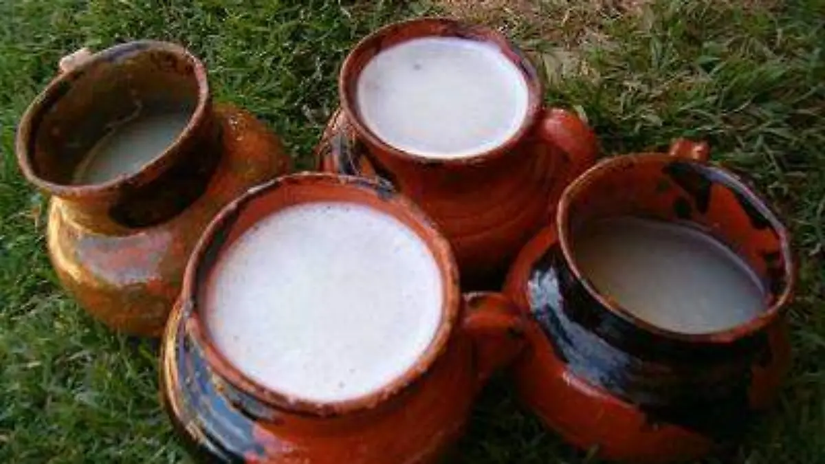 Edomex impulsará la producción del agave y mezcalero, con una inversión de 8 mdp