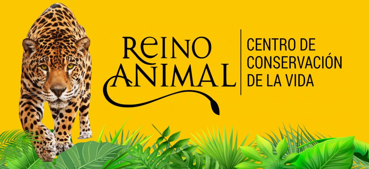 Reino Animal alcanza la más alta distinción en responsabilidad ambiental