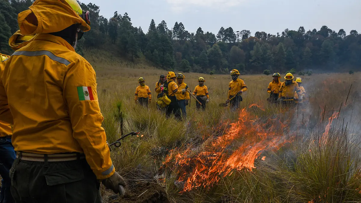 Tres alcaldías se comprometen a combatir los incendios forestales