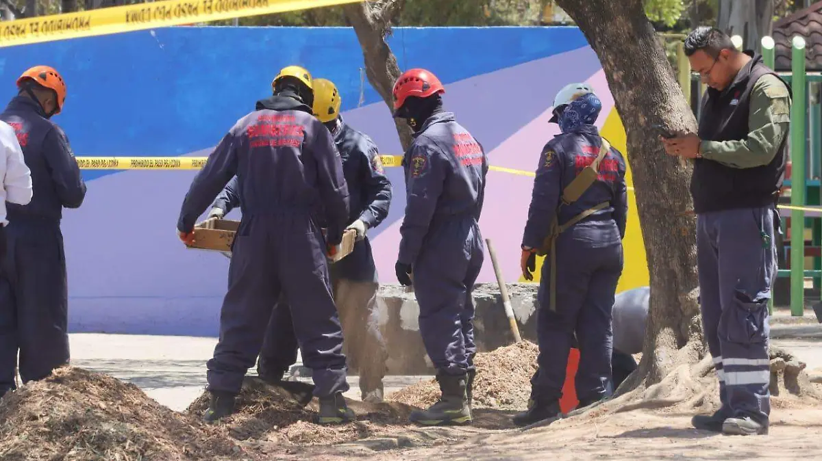 Encuentran restos humanos frente a la Central Camionera del Norte, en la GAM