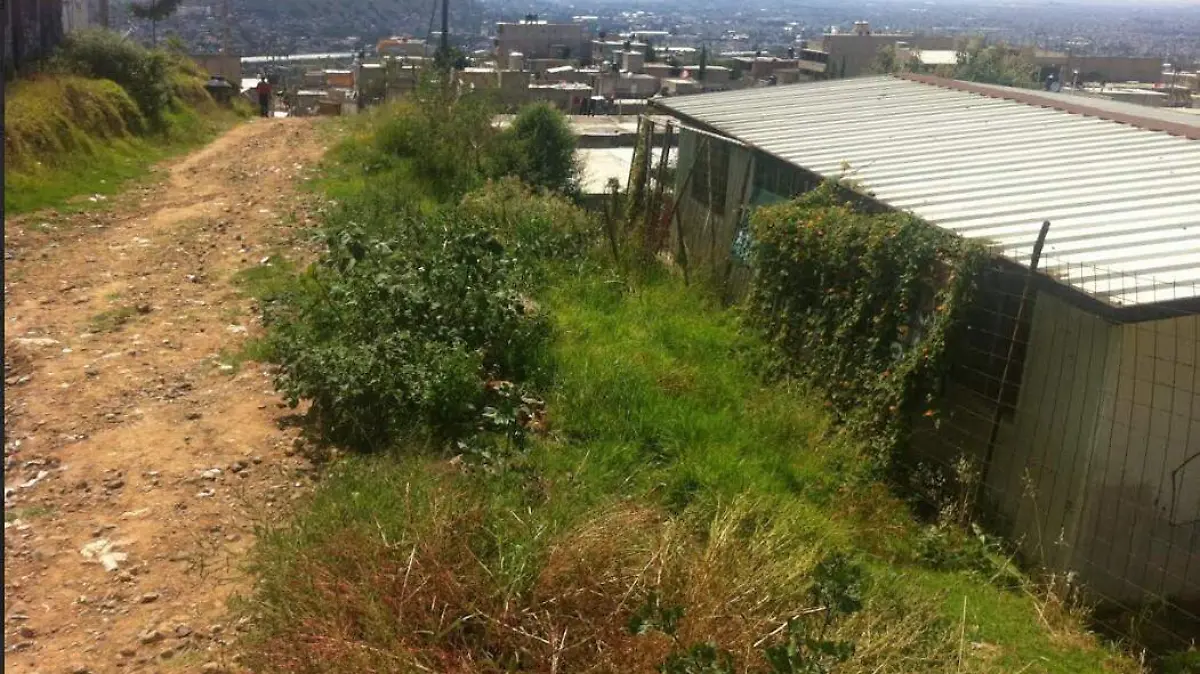 Detectan el uso de licencias apócrifas en La Paz