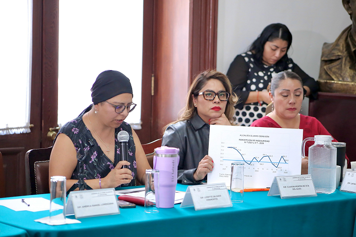 La diputada panista Liz Salgado exhibe al alcalde de Álvaro Obregón, Javier López Casarín en seguridad y tra nsparencia