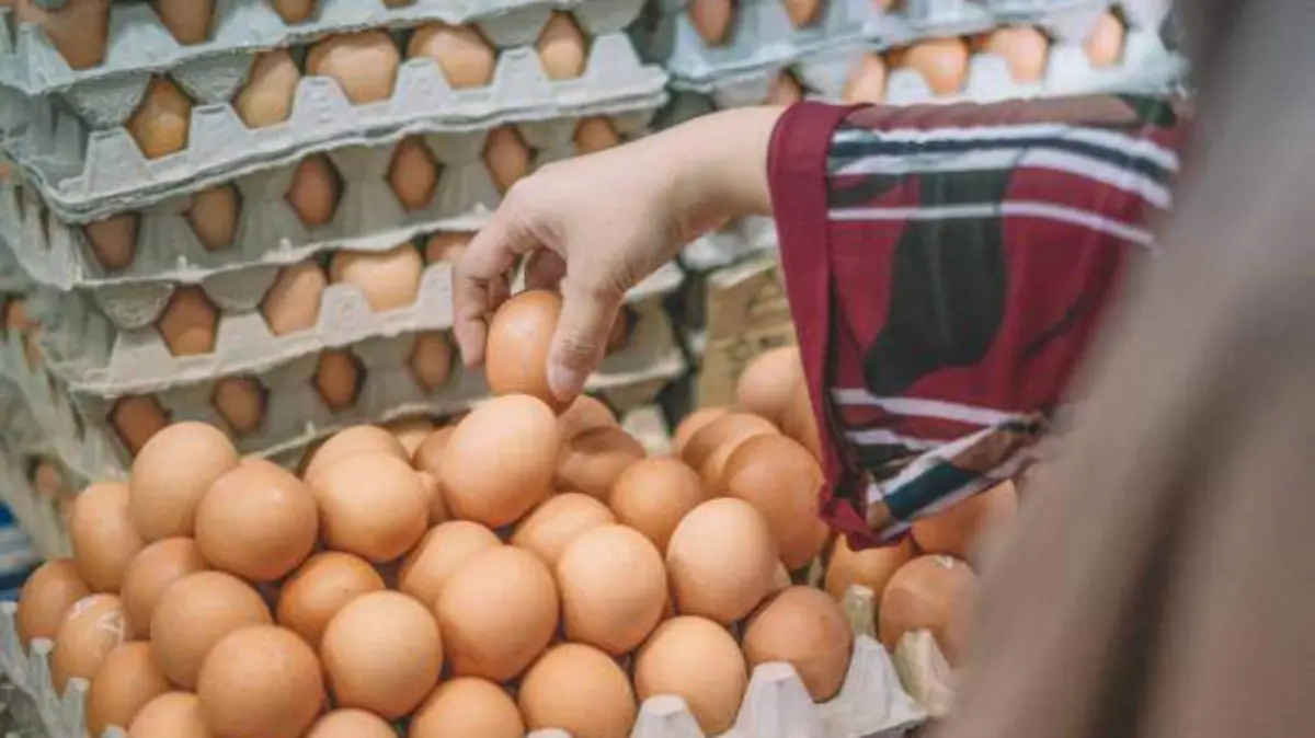 El incremento al precio del huevo en México solo es temporal: Sedeco