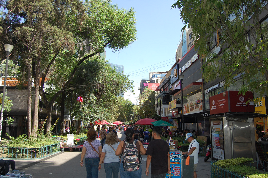 Empresarios de la Zona Rosa fortalecen a su personal en la mejora de sus servicios para el Mundial 2026