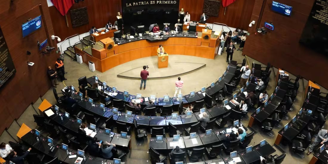 Aprueba senado reforma que permite que personal de organismos públicos porten armas
