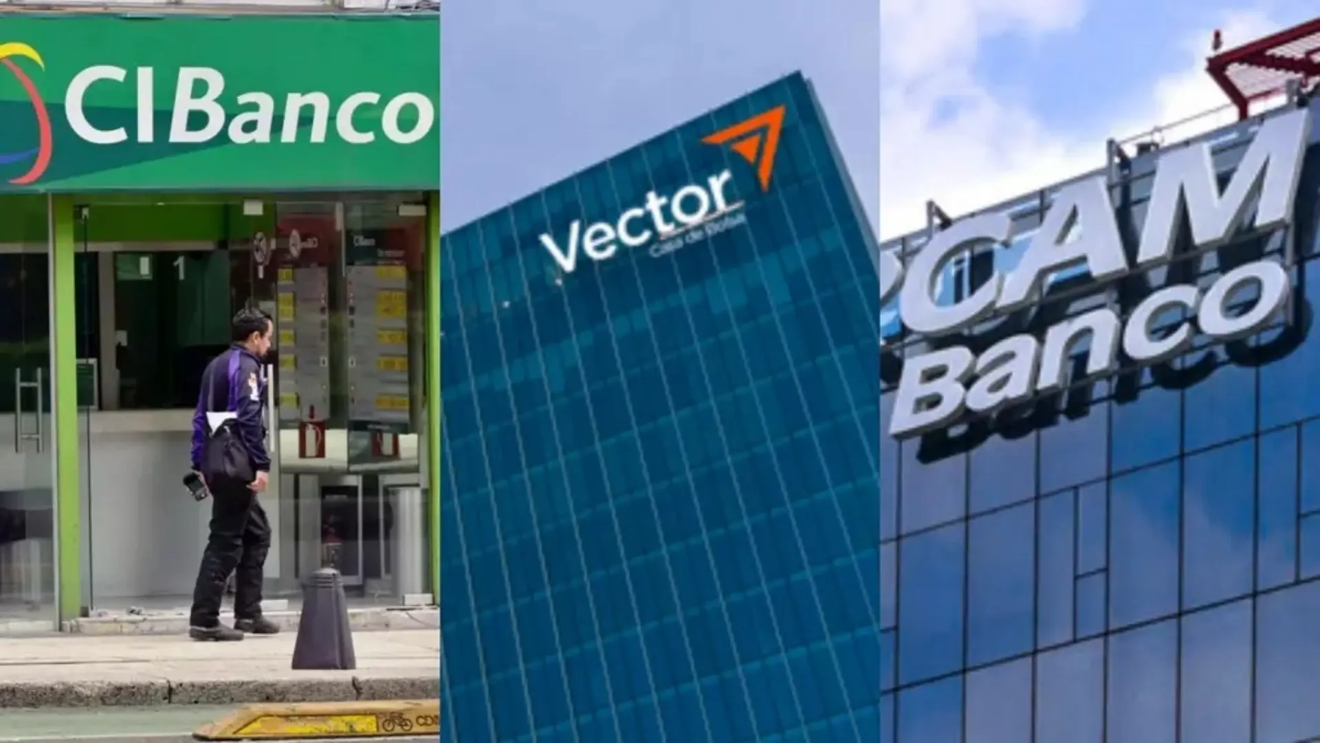 CNBV interviene a Vector por acusaciones de lavado de dinero
