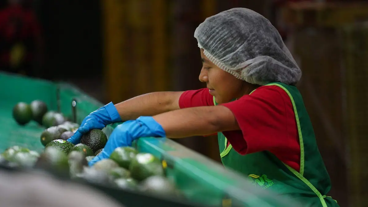 Fortalecimient de canales directos entre productores y comercializadores impulsa economía local