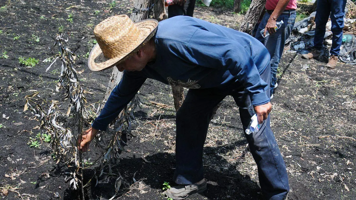 La Comunidad de San Gregorio Atlapulco aprueba Plan Integral Hídrico propuesto por SEGIAGUA