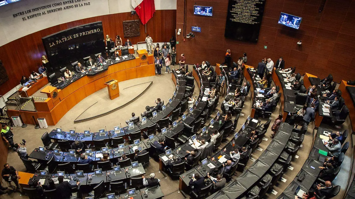 Senado ratifica a Omar Reyes en la UIF y a María del Carmen Bonilla en la subsecretaria de Hacienda Rebeca
