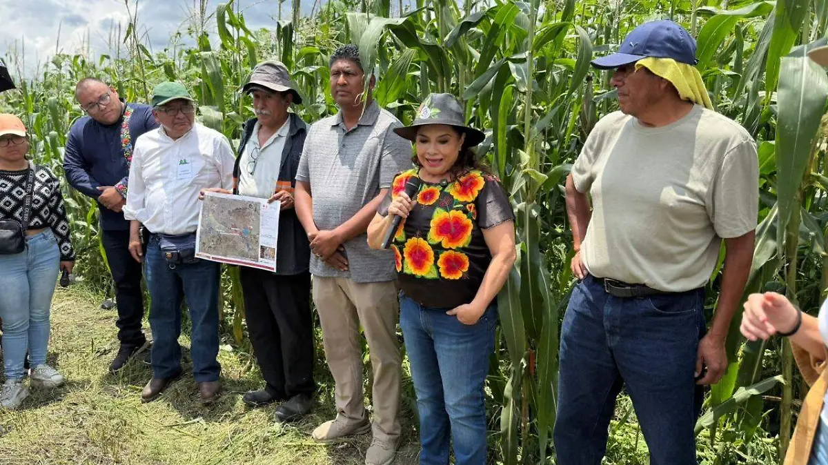 Lanzan plan estratégico para rescatar y potenciar la zona chinampera de Xochimilco y Tláhuac