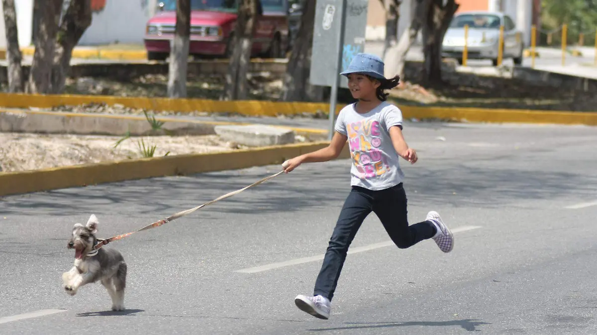 Acceso a vivienda sin discriminación: no se podrá excluir a niños ni mascotas