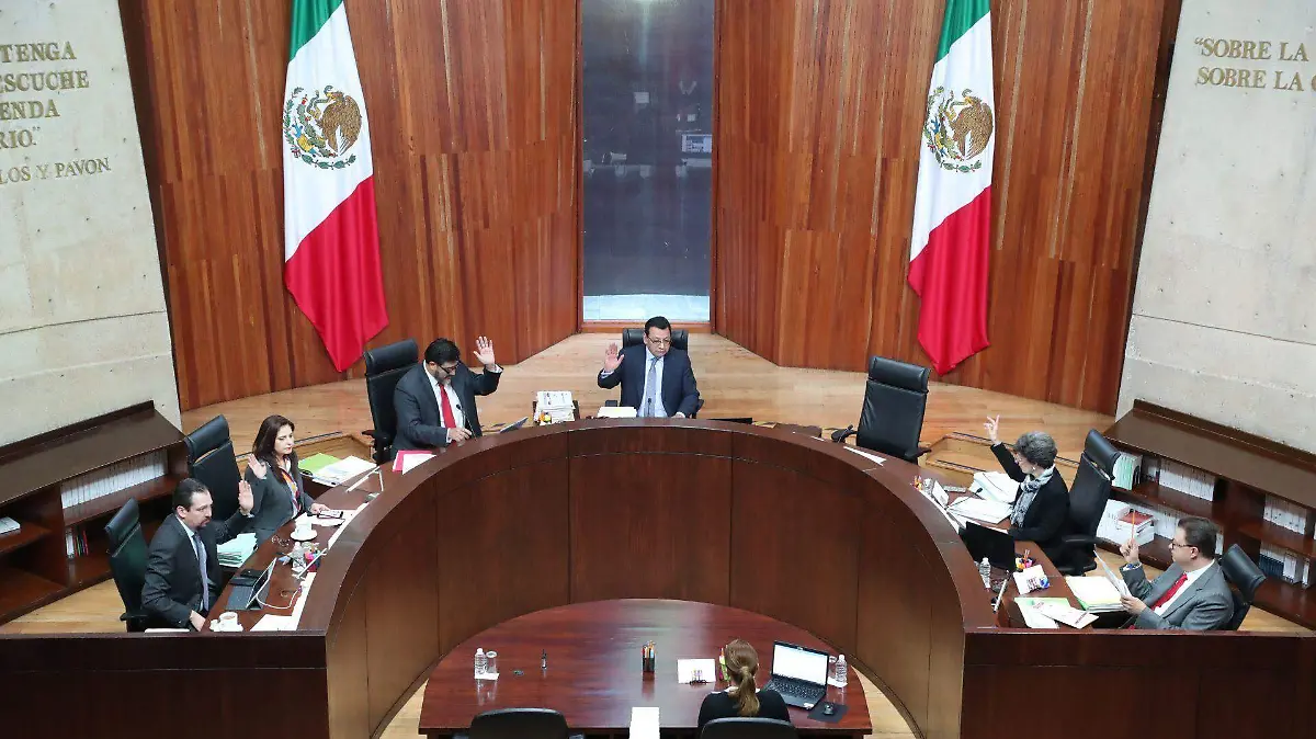 El Nuevo Órgano de Administración Judicial