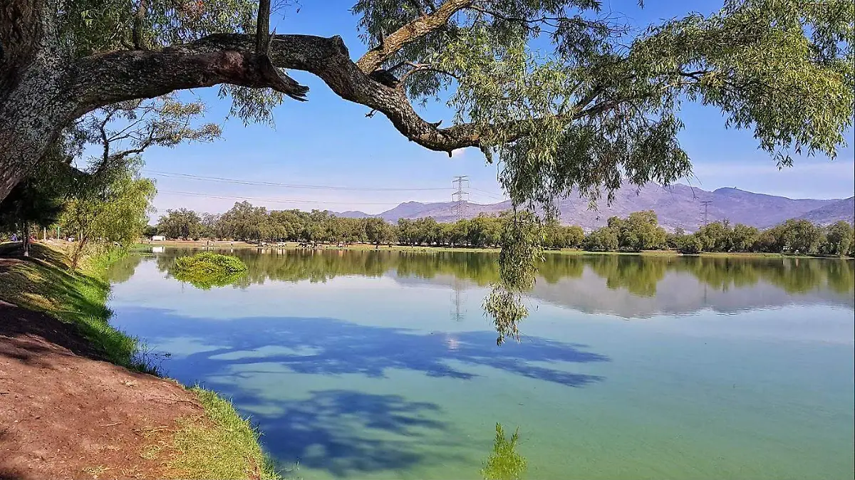 Van por el rescate de la Laguna de Axotlán en Cuautitlán Izcalli