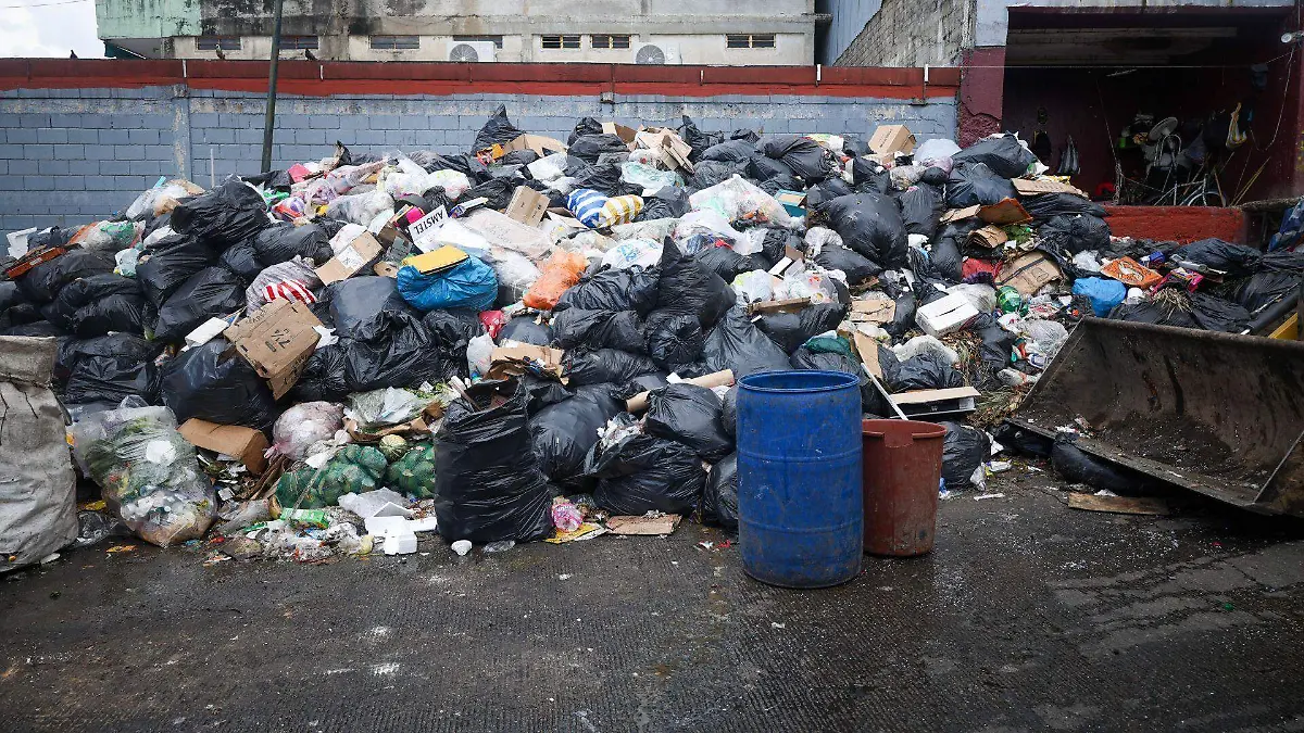 CDMX reciclará el 50% de su basura, ya que la separación será obligatoria en 2026