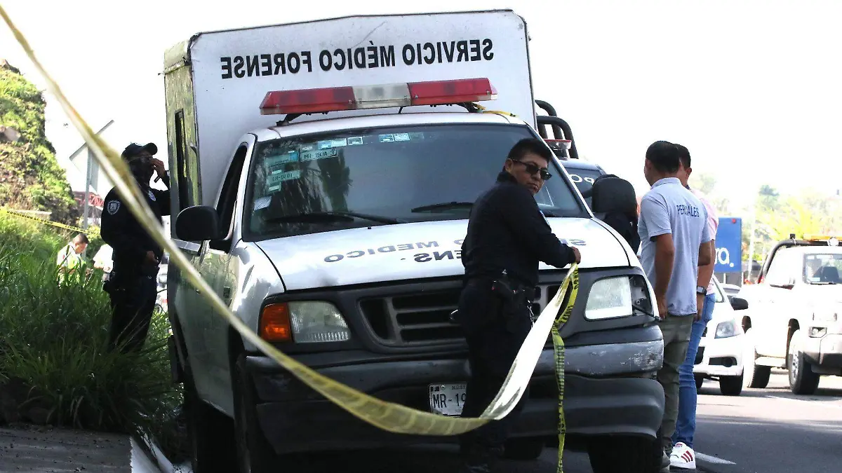 Mujer de la tercera edad muere atacada por 13 perros en escuela en Huehuetoca