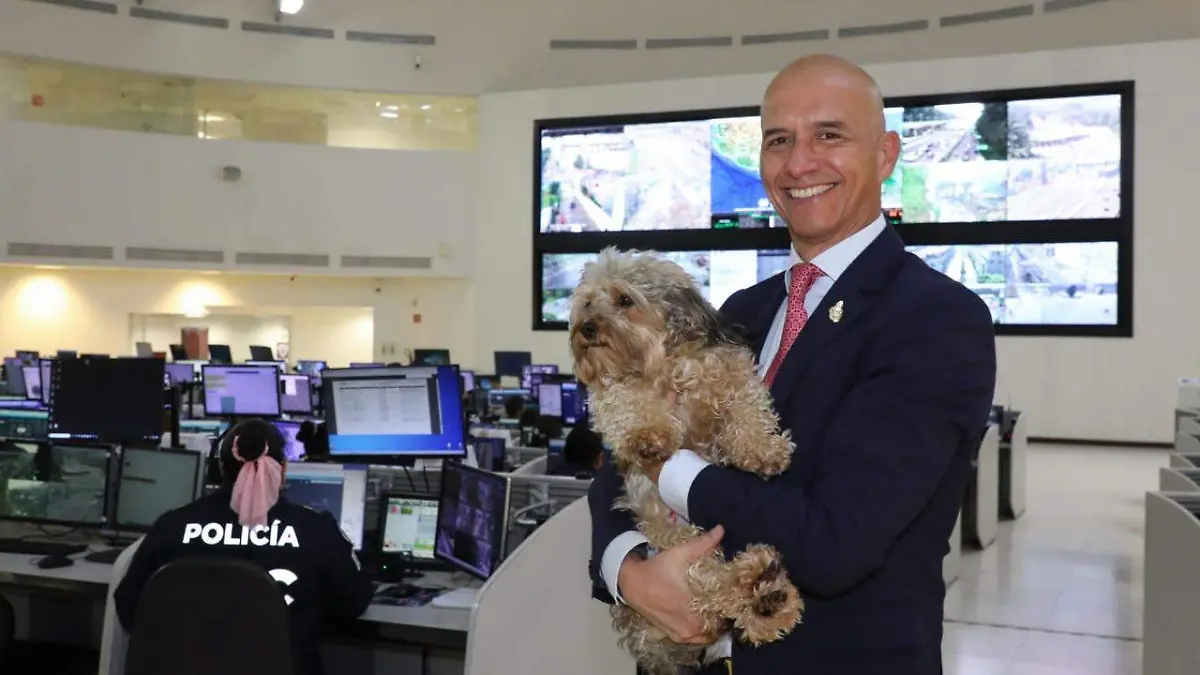 C5 recibe en promedio 43 reportes diarios por rescate, maltrato o robo de animales: Salvador Guerrero Chiprés