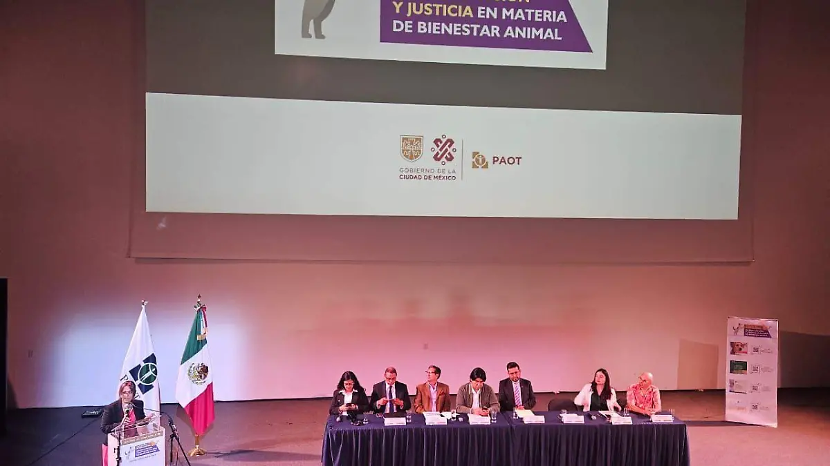 PAOT alza la voz por el bienestar animal