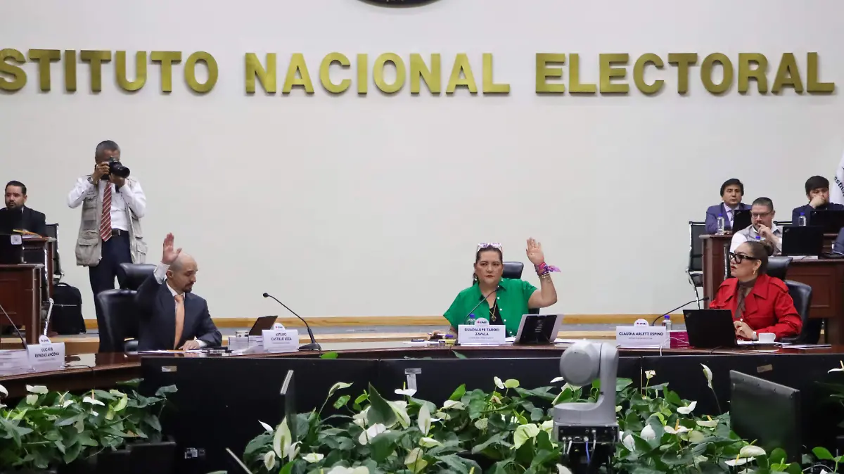 INE y organismos locales defienden su papel ante la propuesta de desaparecerlos