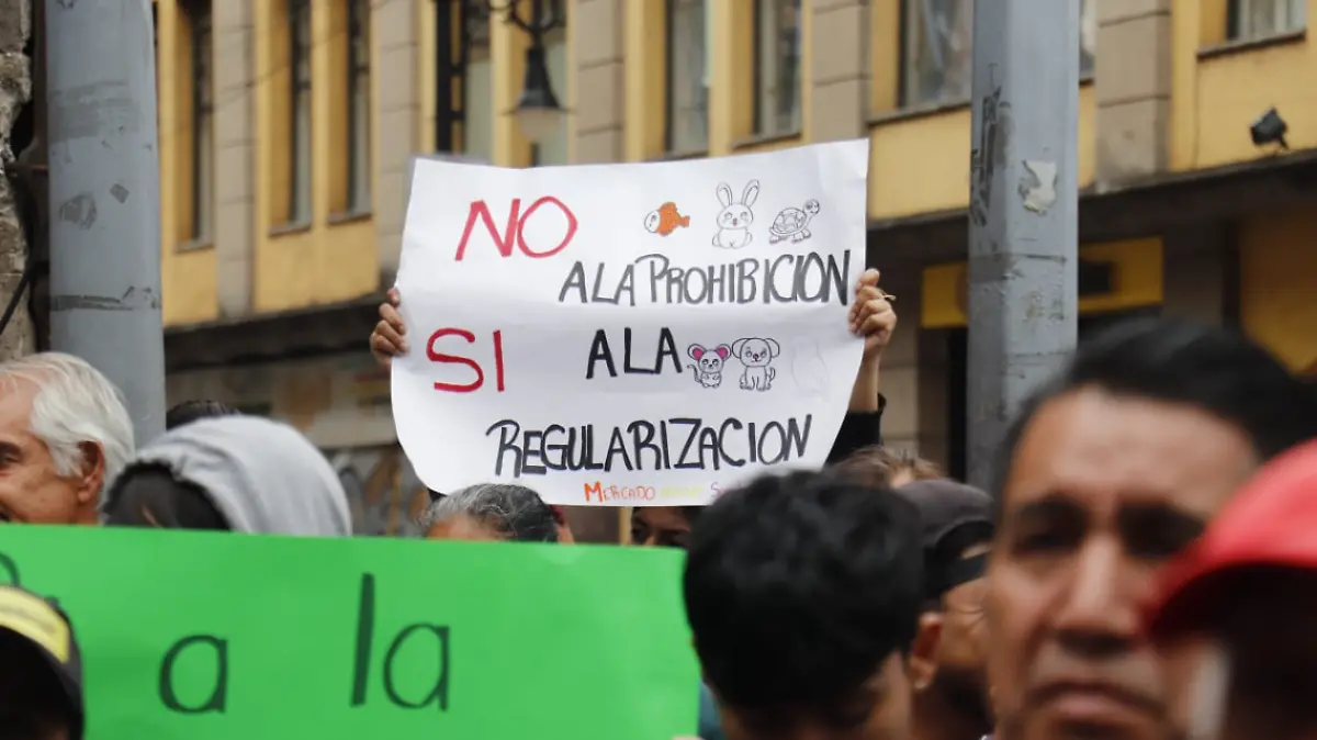 Analizan reforma para limitar la venta de animales en mercados y tiendas físicas