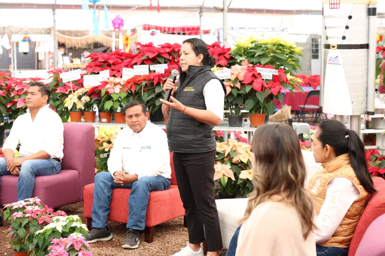 La Nochebuena resalta en Puebla por su producción de Nochebuena y tradición florícola