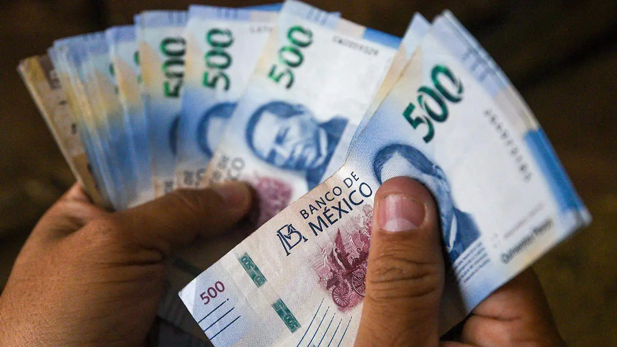 En 2024, el trabajo de las organizaciones no gubernamentales representó 3.3% del PIB