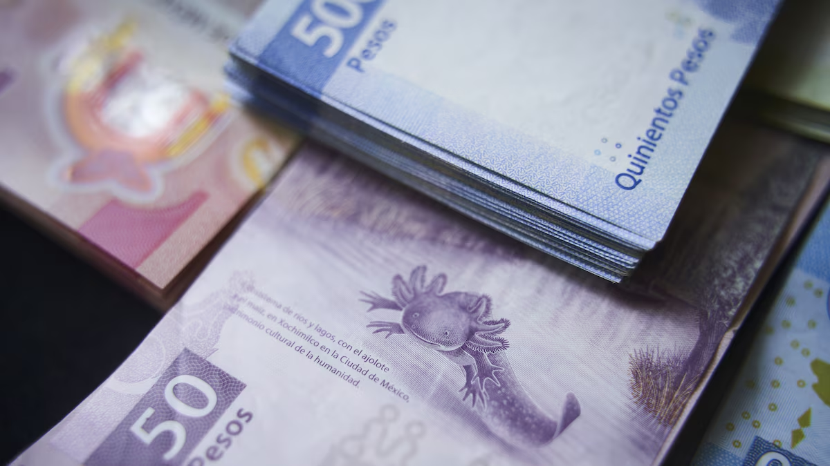 Menor gasto del gobierno permite un superávit primario
