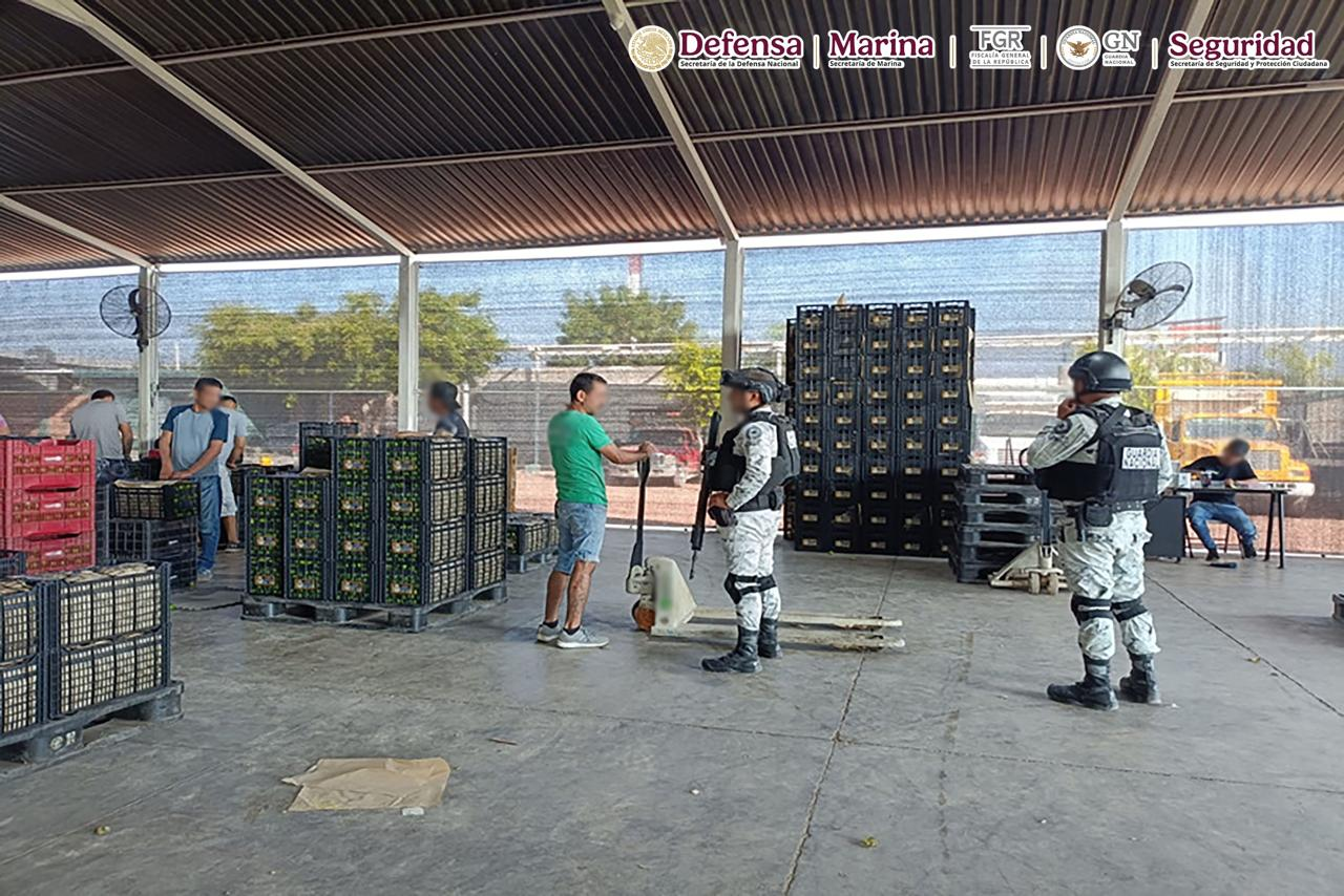 Plan Michoacán avanza en las fuerzas federales y detienen a 10 sospechosos con un costo de un millón de pesos