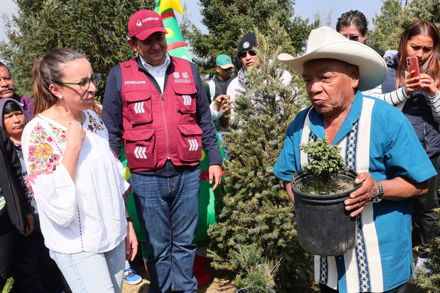 Arranca en CDMX la temporada de venta de árboles de Navidad producidos en suelo de conservación