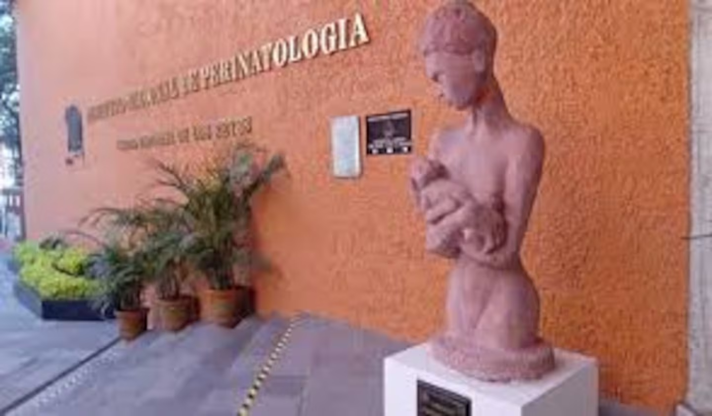 Acusan proveedores adeudos del Instituto Nacional de Perinatología