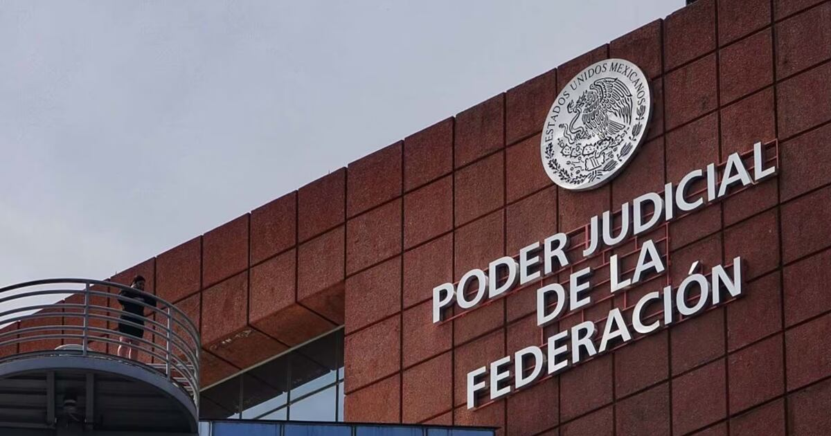 Empresarios denuncian extorsión desde nuevo PJF para obtener una licitación legal