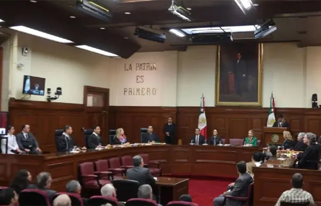 Poder Judicial federal contrata a empresas ‘patito’ en seguridad y limpieza, pero con ‘moche’ de 20 % de monto de adjudicación