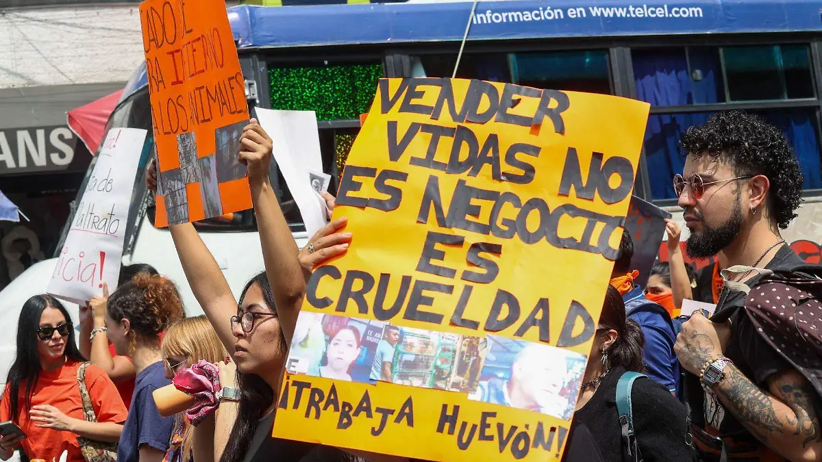 Mercado de Sonora termina venta de animales en CDMX por resolución judicial