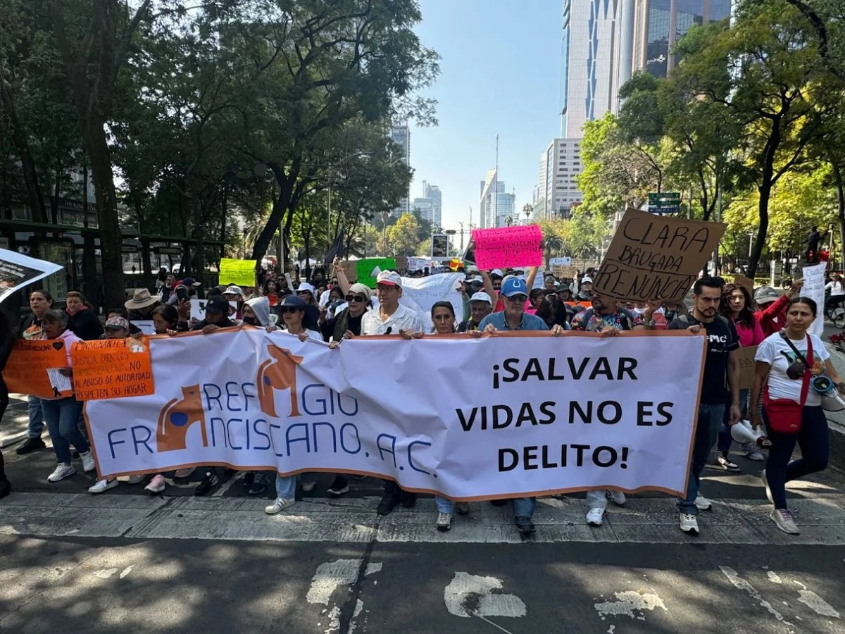 Activistas y colaboradores del Refugio Franciscano marchan en Reforma por desalojo de animales