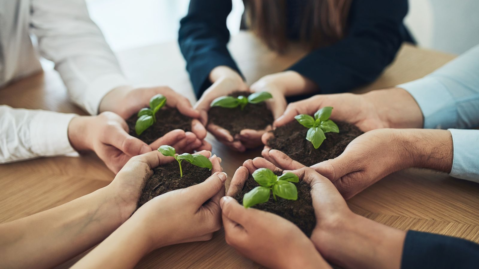 CONCANACO SERVYTUR impulsa economía circular con reglas claras, incentivos y acompañamiento para negocios fami liares