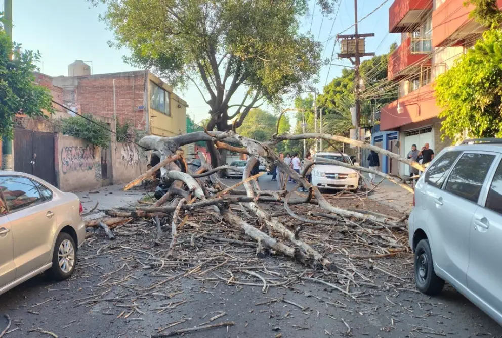 Sismo activa alerta sísmica en CDMX