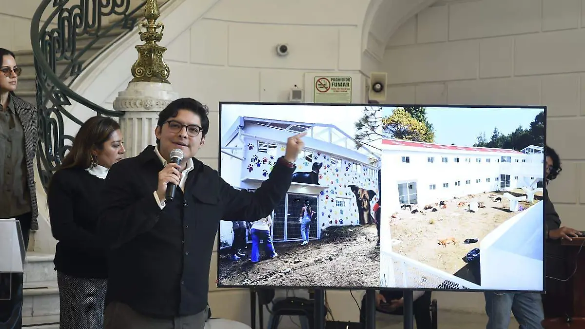 Congreso recibirá iniciativa de Brugada para regular albergues y refugios animales