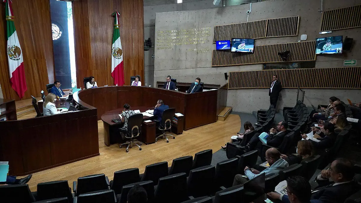 TEPJF afirma que morenistas pueden pedir renovación de la presidencia del Instituto de Formación Polític a